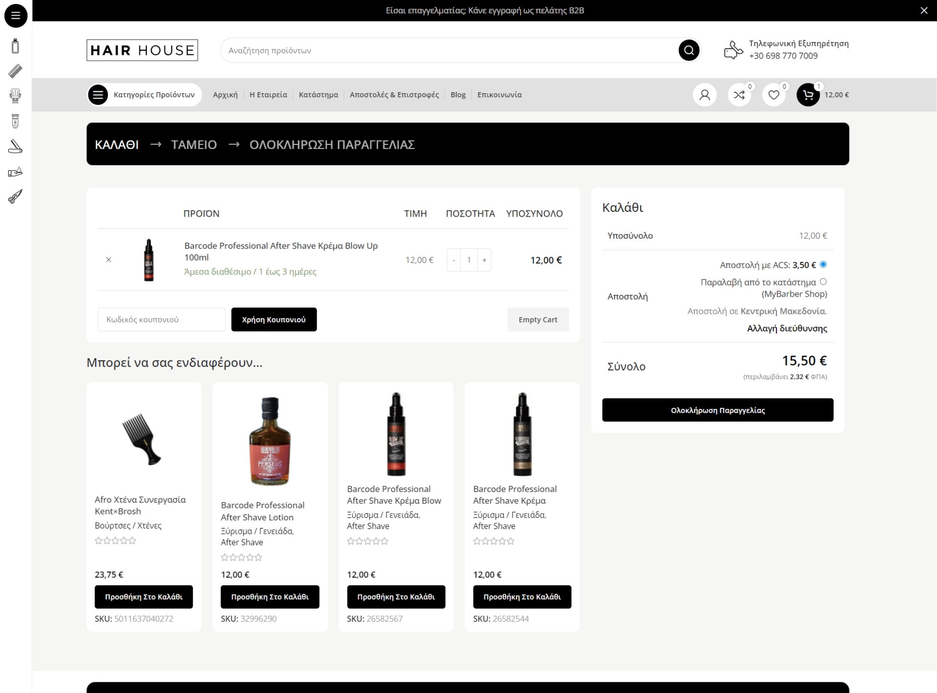 hair house project (9)